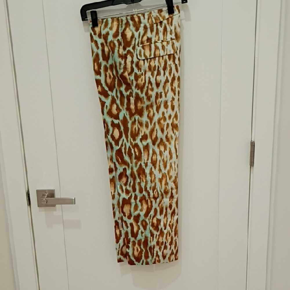 Dior Brown and Mint Animal Print Cropped Pants